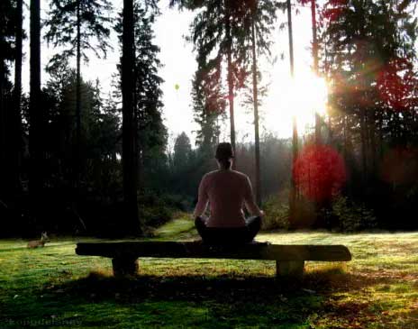 meditación-en-un-banco-en-el-bosque-opti