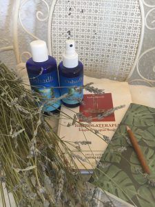 Libro-Hidrolaterapia-en-silla-de-forja