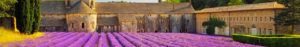 Oshadhi - Post: Seminario Aromaterapia Aryuveda alta provenza francesa