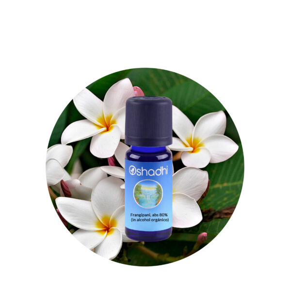 Aceite esencial de frangipani Aceite esencial de frangipani