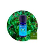Aceite Esencial de Amyris