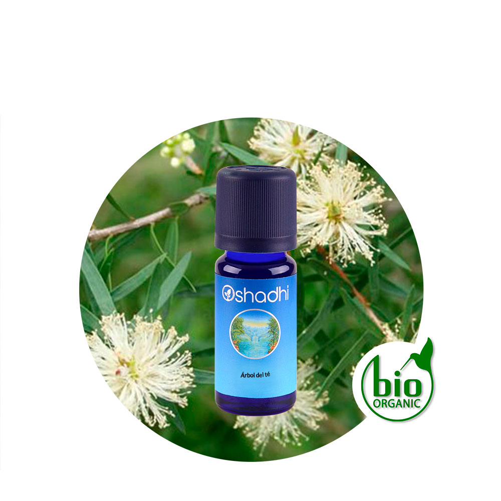 ae-arbol-te Aceite Esencial de Arbol del té - Imagen 1