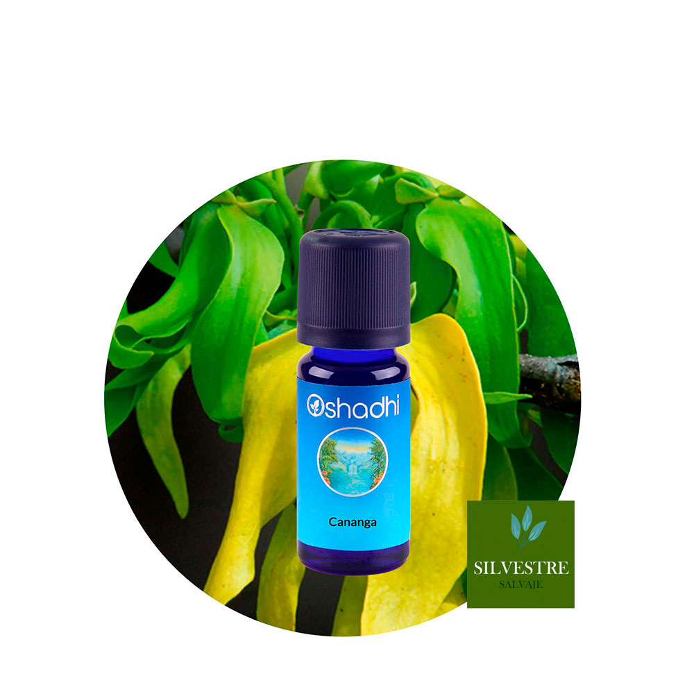 ae-cananga Aceite Esencial de Cananga - Imagen 1