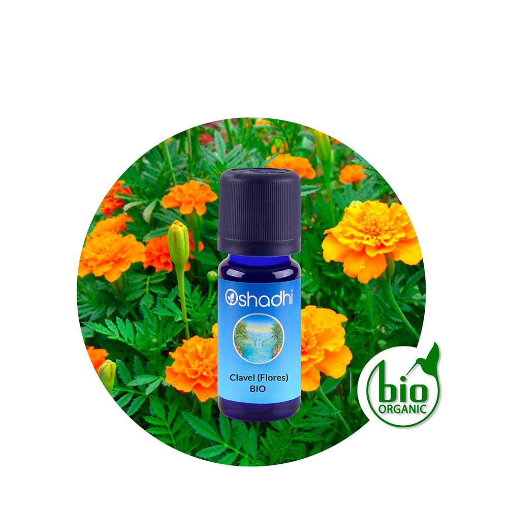 ae-clavel Aceite Esencial de Clavel (Flores) - Imagen 1