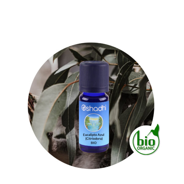 Aceite esencial eucalipto azul Aceite esencial eucalipto azul