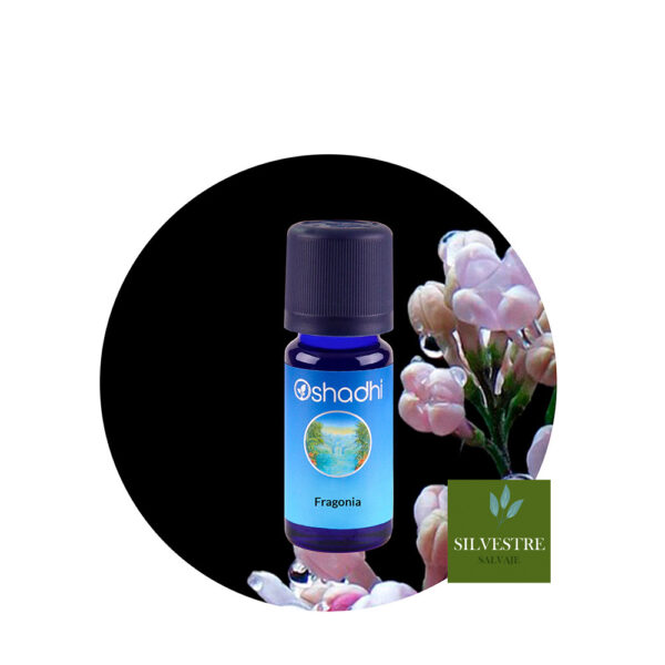 Aceite esencial de Fragonia Aceite esencial de Fragonia