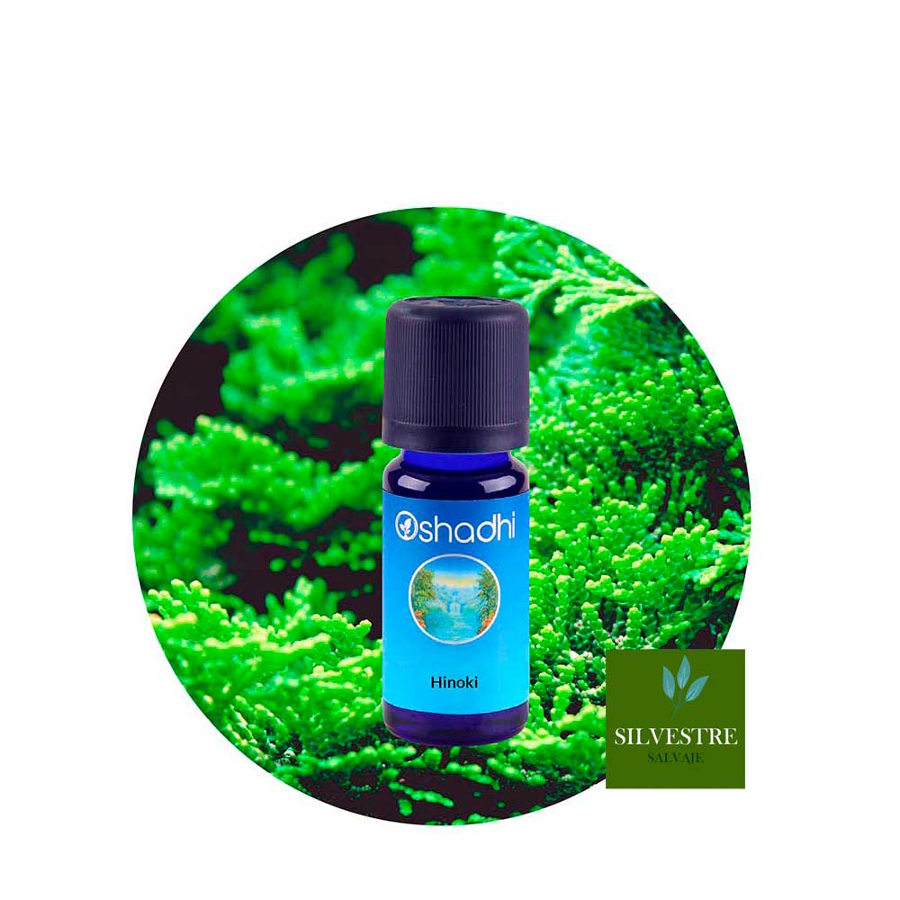 ae-hinoki Aceite Esencial de Hinoki - Imagen 1