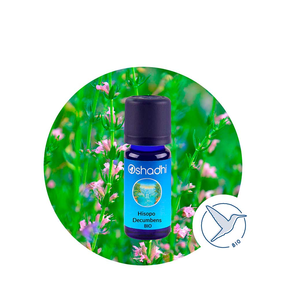 ae-hisopo-decumbens-BIO Aceite Esencial de Hisopo Decumbens BIO - Imagen 1