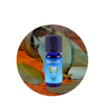 Aceite Esencial de Laurel