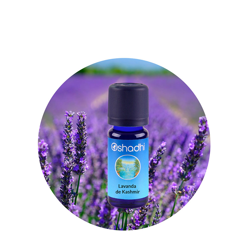 ae-lavandakashmir Aceite Esencial de Lavanda de Kashmir - Imagen 1