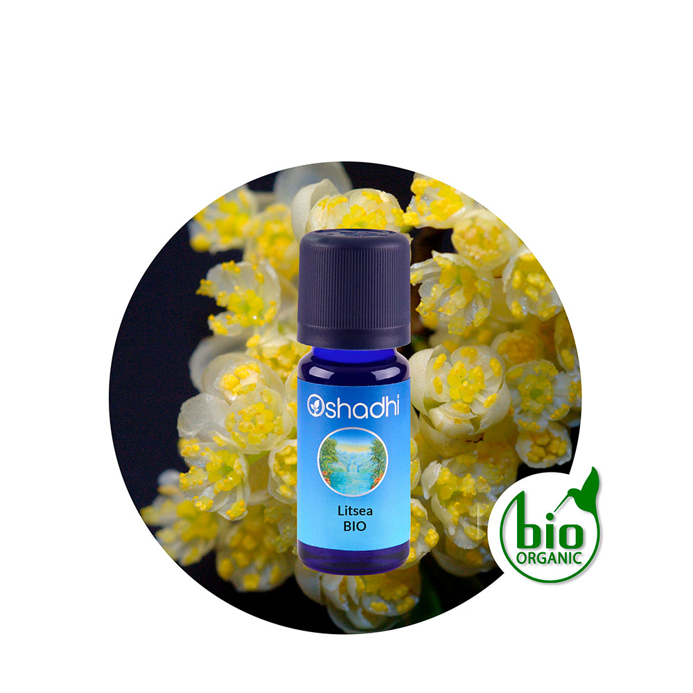 ae-litsea Aceite Esencial de Litsea - Imagen 1