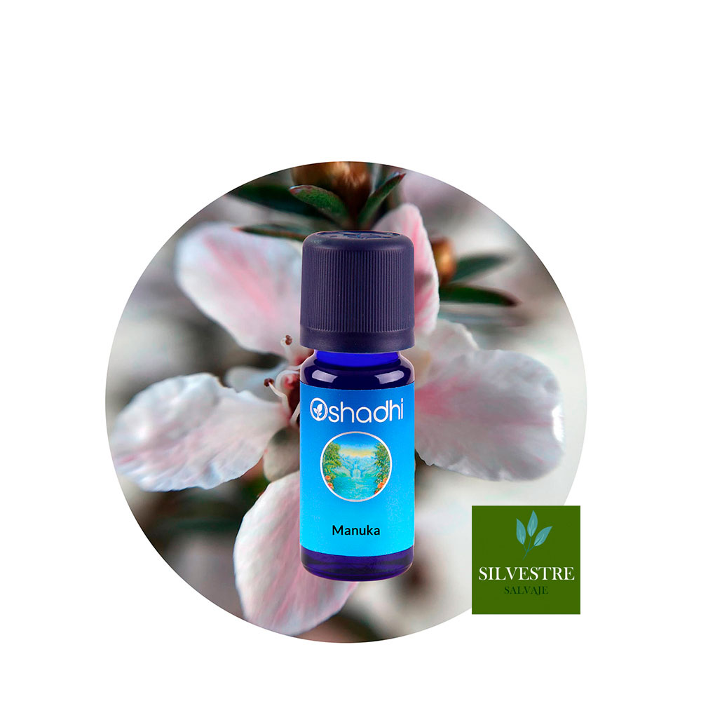 ae-manuka Aceite Esencial de Manuka - Imagen 1