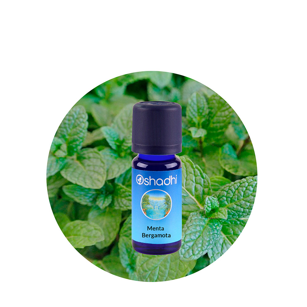 ae-menta-bergamota Aceite Esencial de Menta Bergamota - Imagen 1