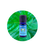 Aceite Esencial de Menta Piperita BIO