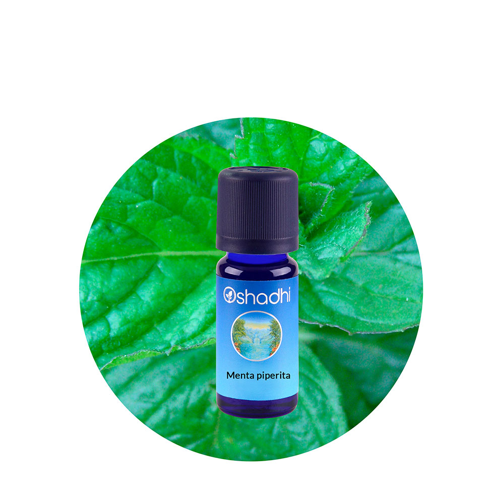 ae-menta-piperita Aceite Esencial de Menta Piperita BIO - Imagen 1