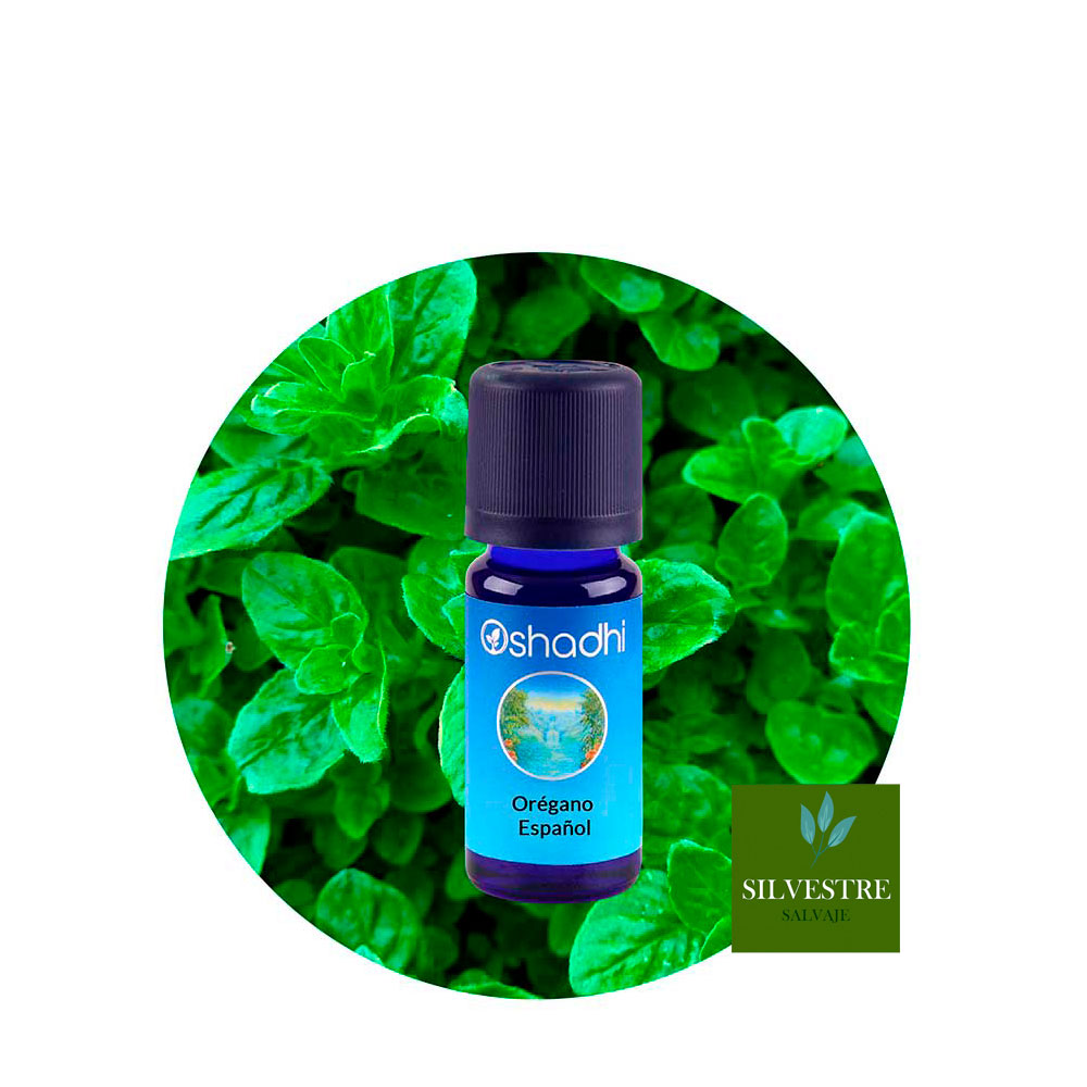 ae-oregano-español Aceite Esencial de Orégano Español - Imagen 1