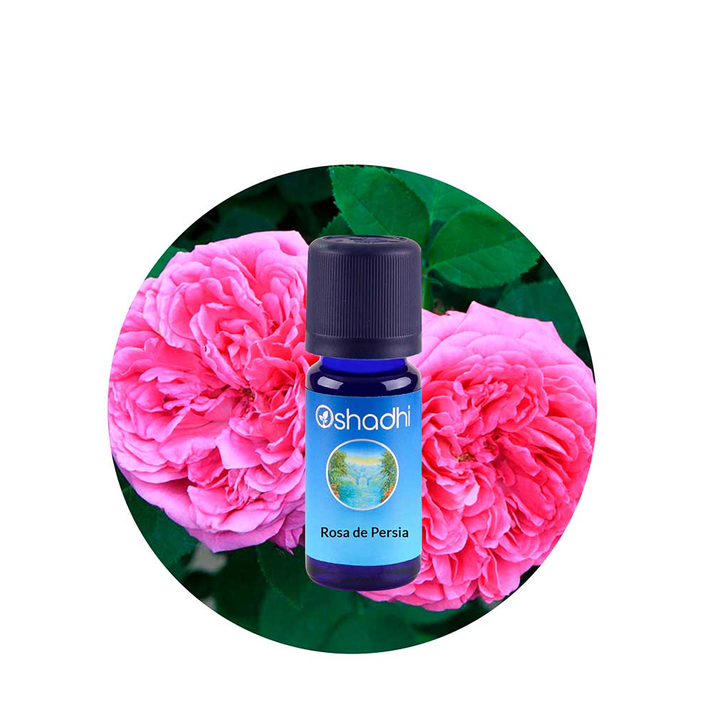 ae-rosa-persia Aceite Esencial de Rosa de Persia - Imagen 1