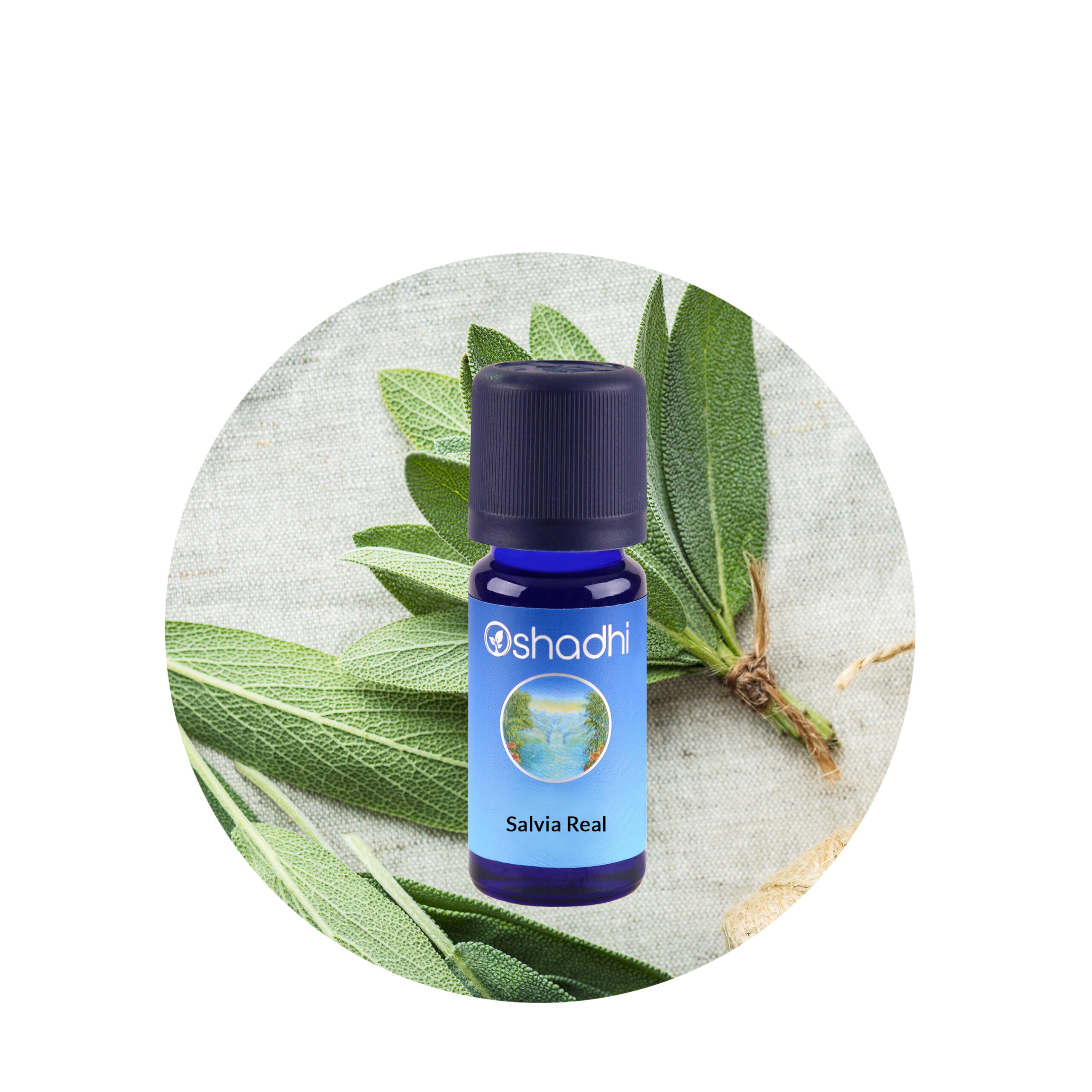 ae-salviareal Aceite Esencial de Salvia Real BIO - Imagen 1