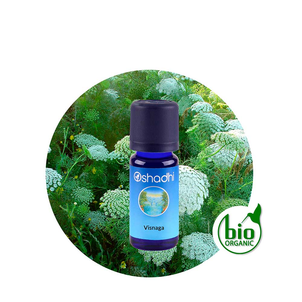 ae-visnaga Aceite Esencial de Visnaga - Imagen 1