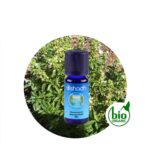 Aceite Esencial de Albahaca tropical (85% Chav. Metilo)
