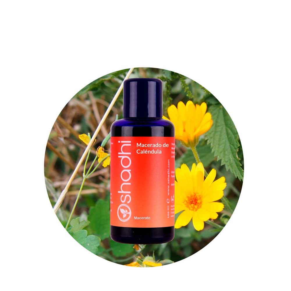 calendula-opti Macerado de Caléndula 10 % (en a.v. Almendras dulces) - Imagen 1
