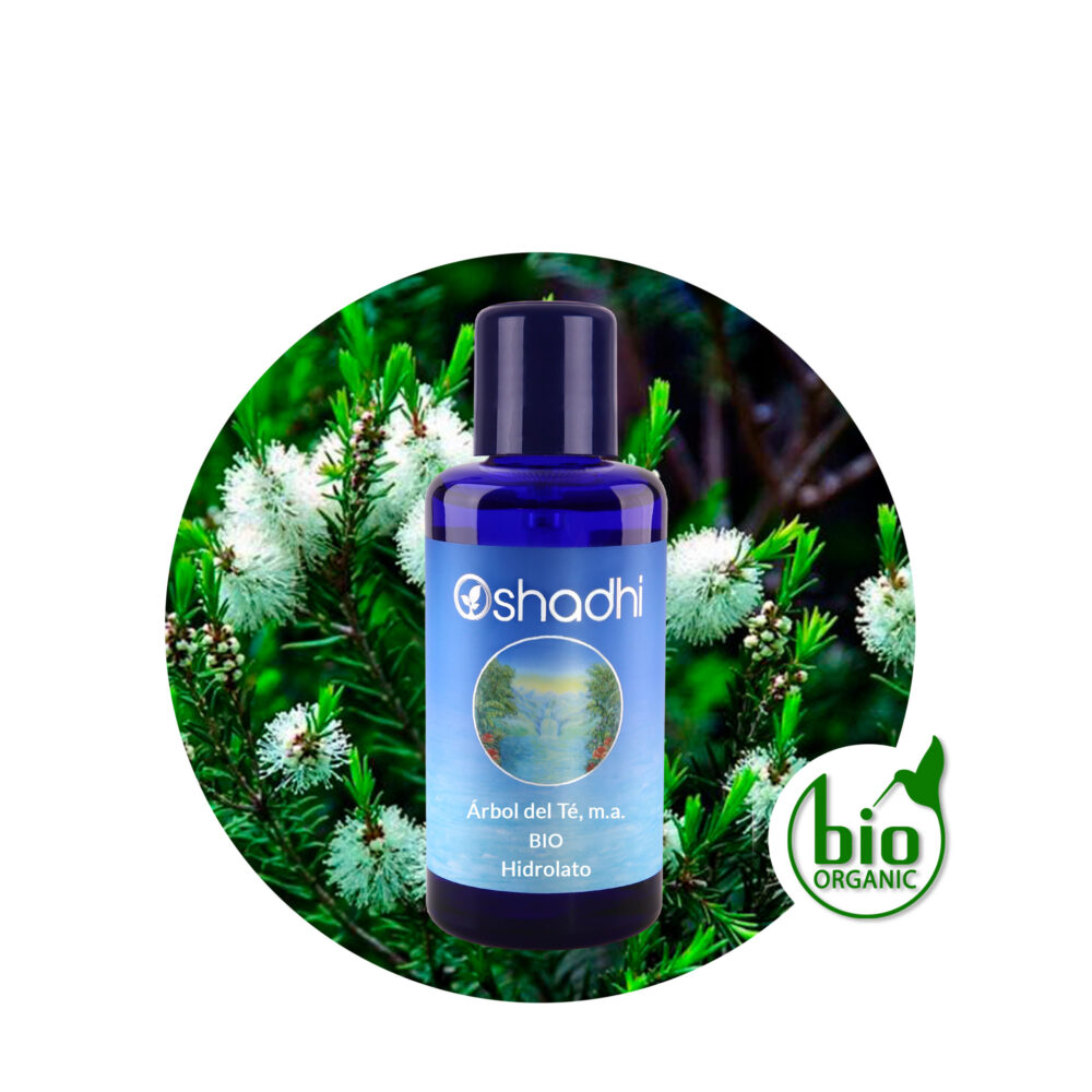 Hidrolato de Árbol del Té Hidrolato de Árbol del Té