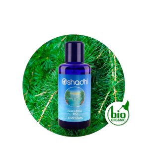 Hidrolato de Cedro