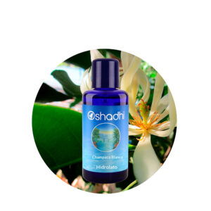 Hidrolato de Champaca Blanca