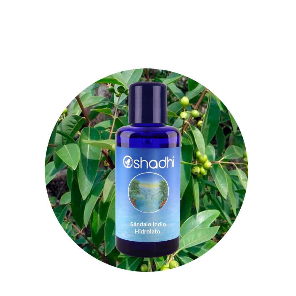 Hidrolato de Sándalo Indio Hidrolato de Sándalo Indio