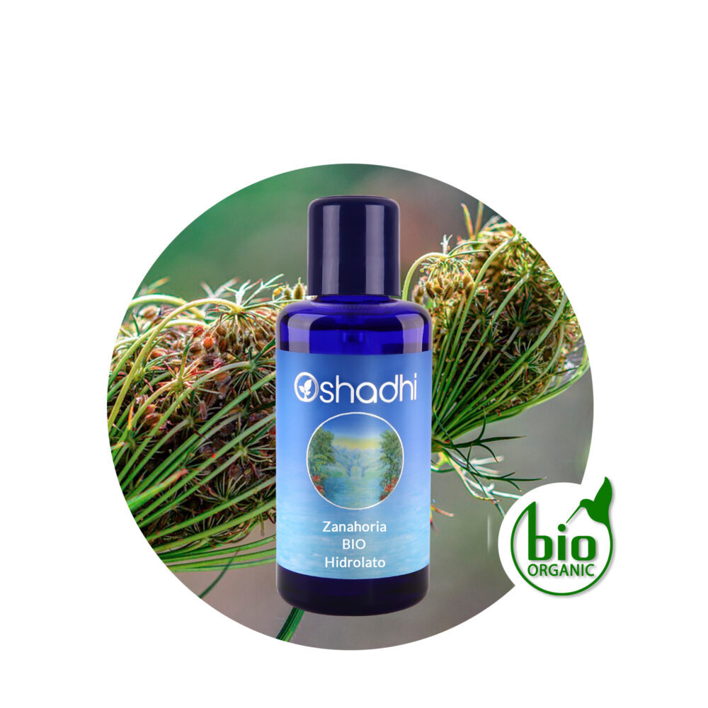 Hidrolato de Zanahoria Hidrolato de Zanahoria