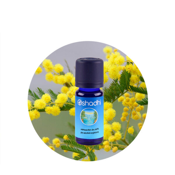 mimosa Aceite Esencial absoluto de Mimosa 66% (en alcohol orgánico)