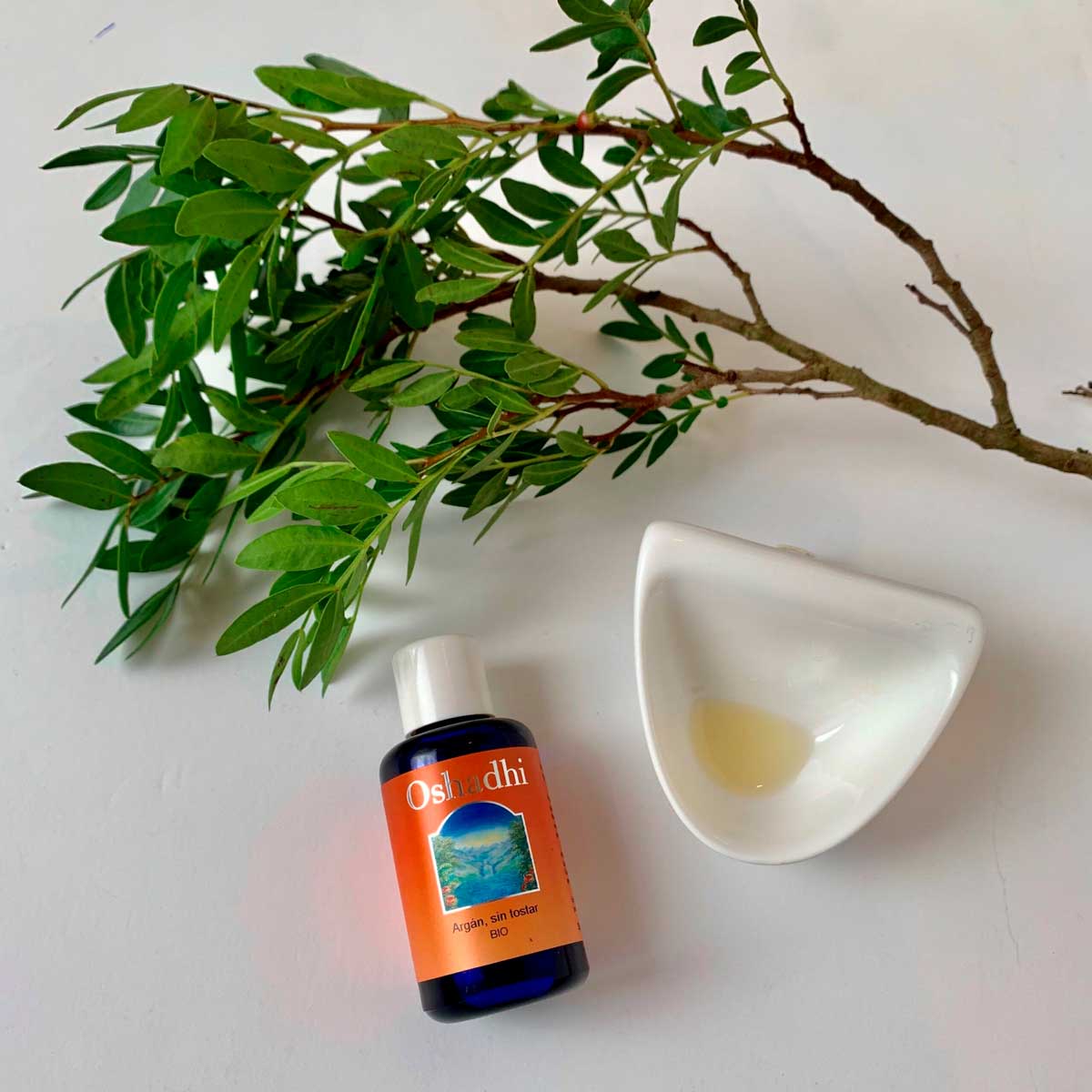 Argan-1-opti