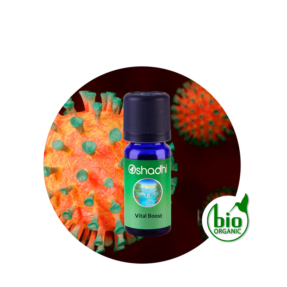 Sinergia Vital Boost Sinergia Vital Boost
