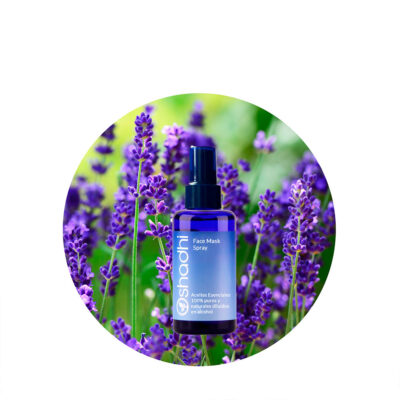 Face Mask Spray