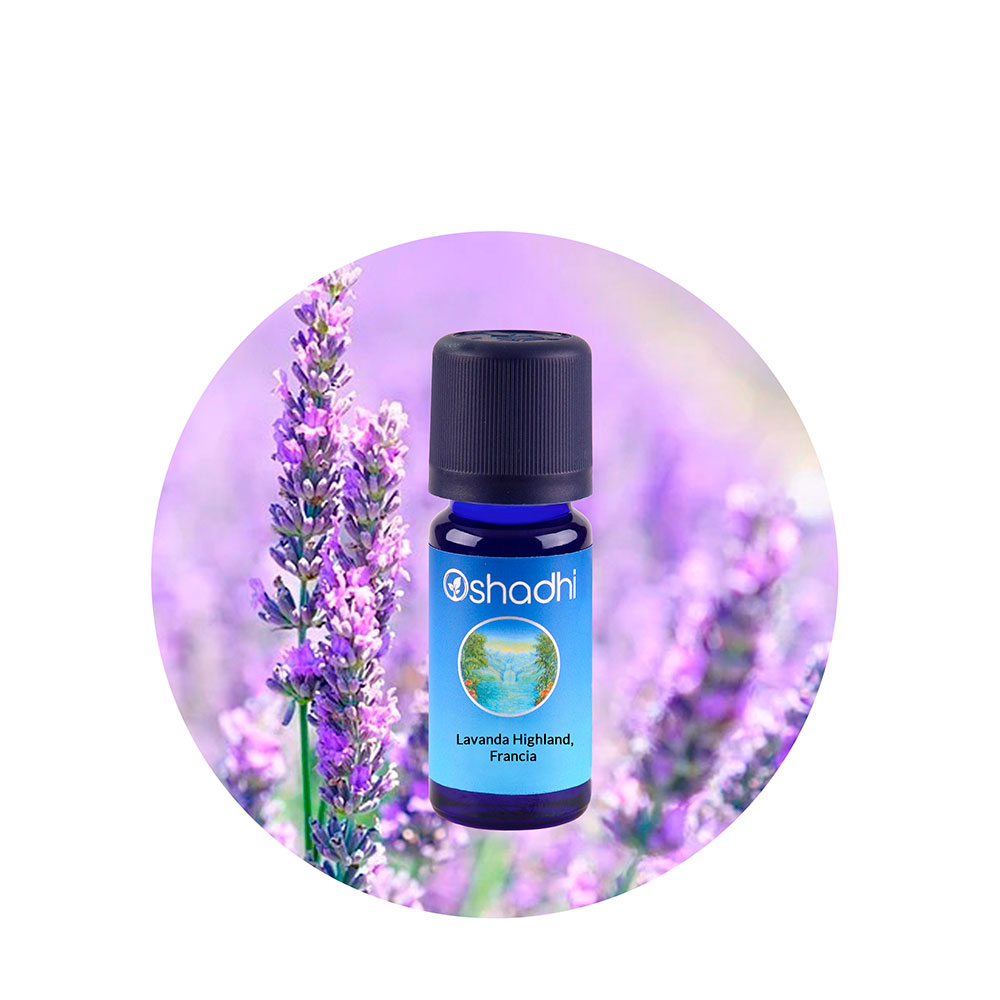Aceite Esencial de Lavanda Highland de Francia Aceite Esencial de Lavanda Highland de Francia