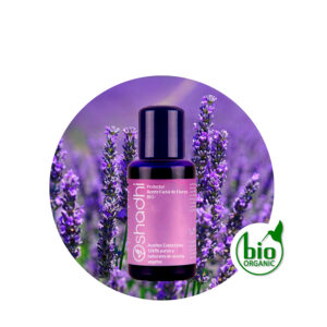 Aceite Facial Jojoba de Zanahoria