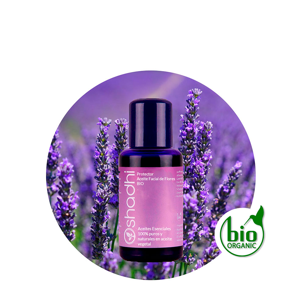 Aceite Facial Jojoba de Zanahoria Aceite Facial Jojoba de Zanahoria