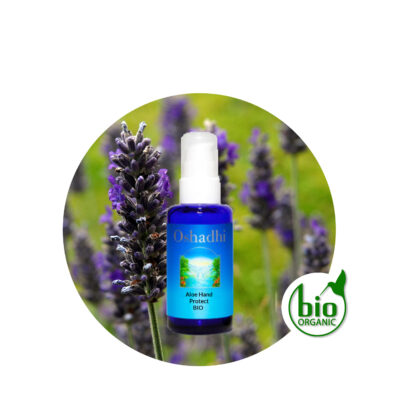aloe-hand-protect