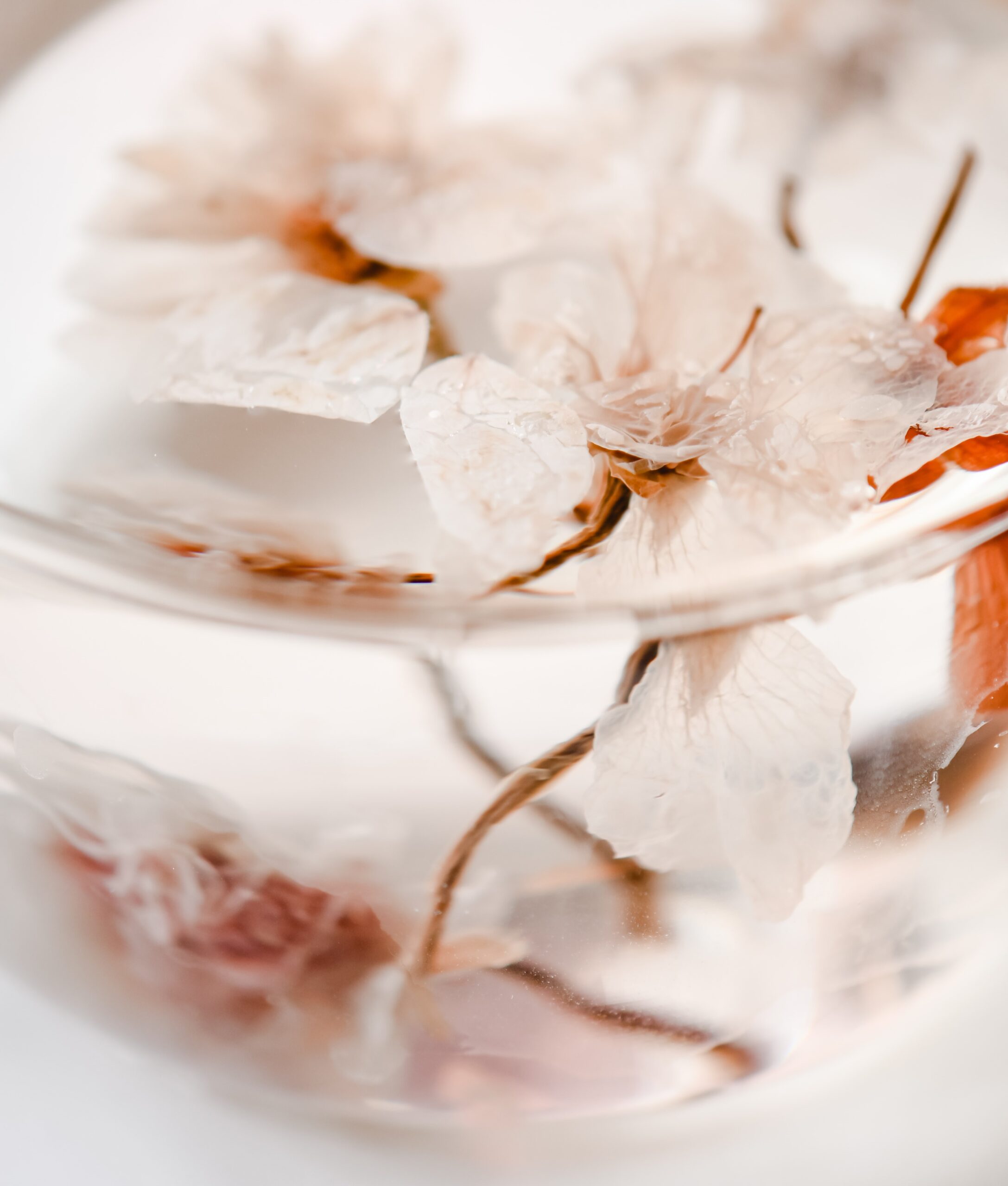 transparencia (2)