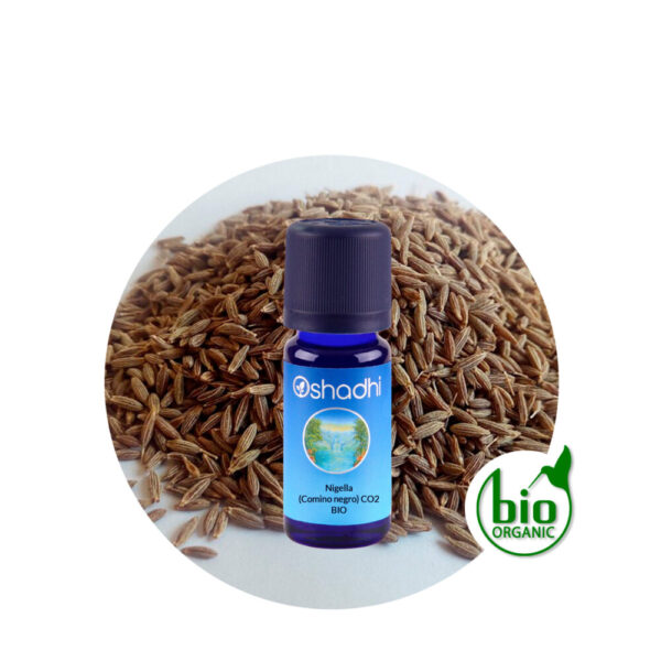 Aceite Esencial Comino Negro (Nigella) CO2 Aceite Esencial Comino Negro (Nigella) CO2