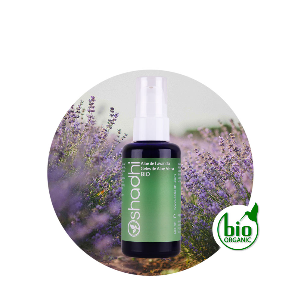 aloe-de-lavanda