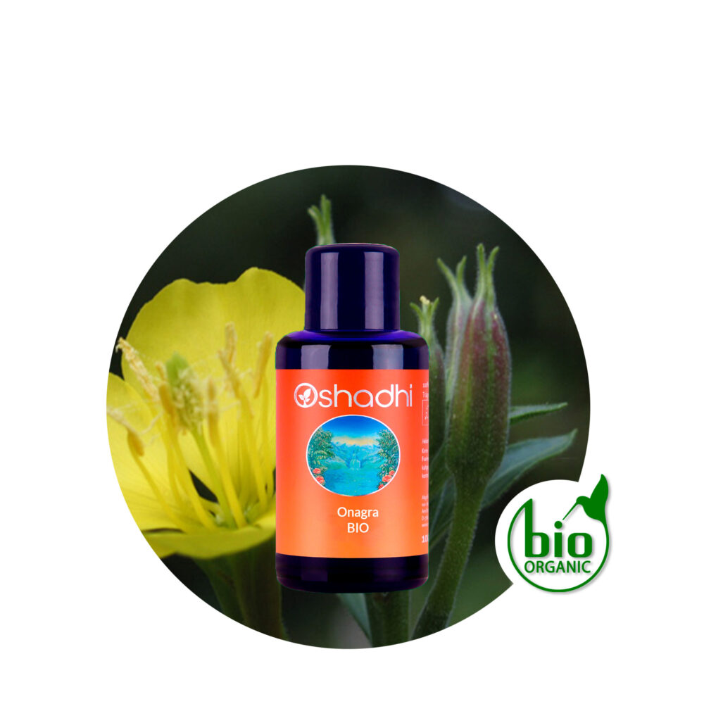 onagra-AV Aceite Vegetal de Onagra - Imagen 1