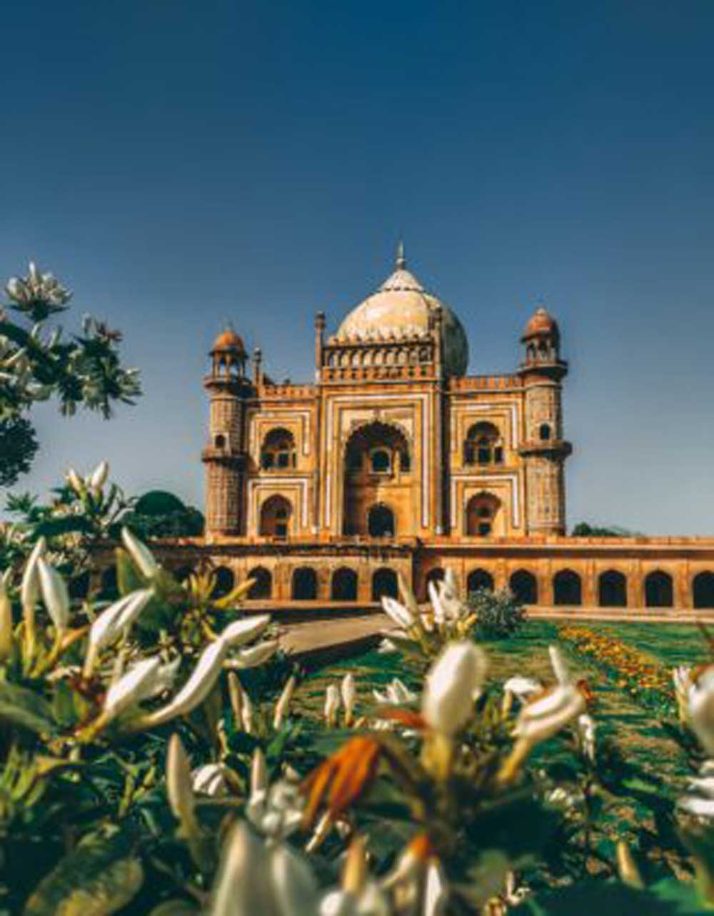 palacio-India-1595x2048