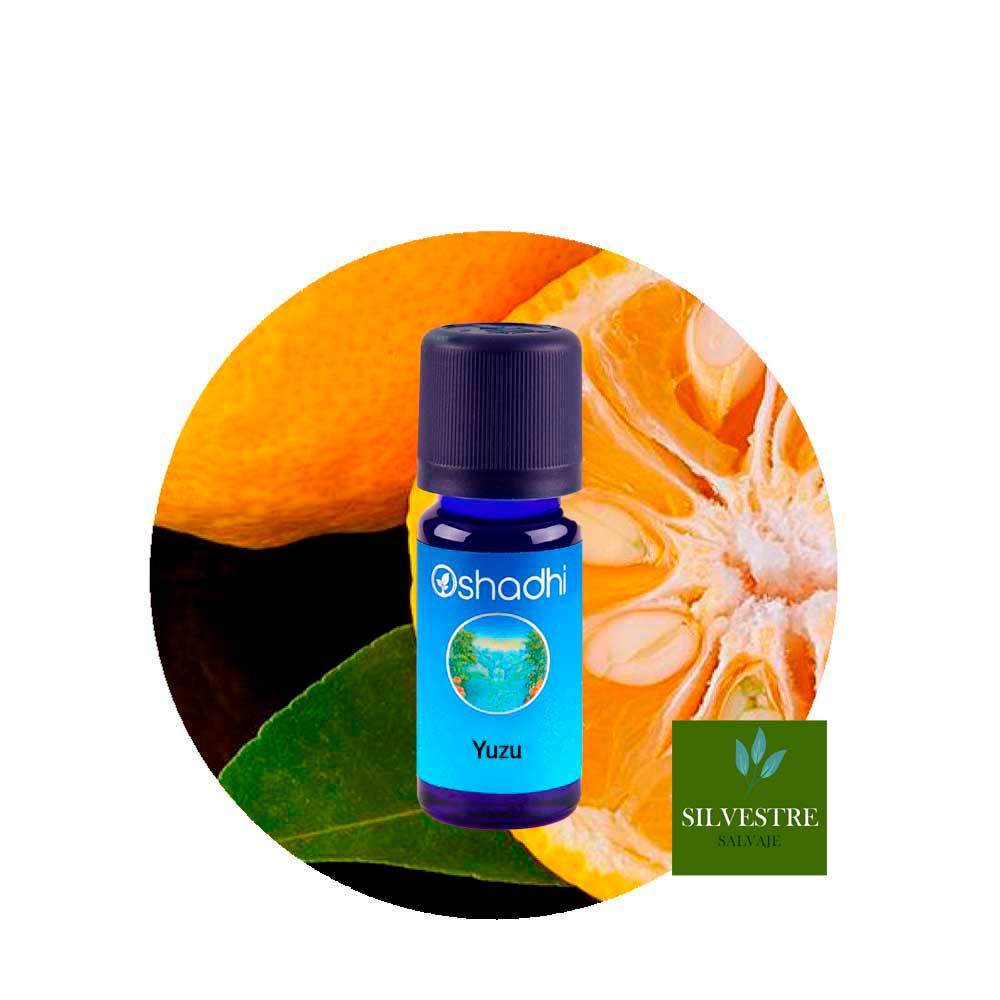 Aceite Esencial de Yuzu Aceite Esencial de Yuzu