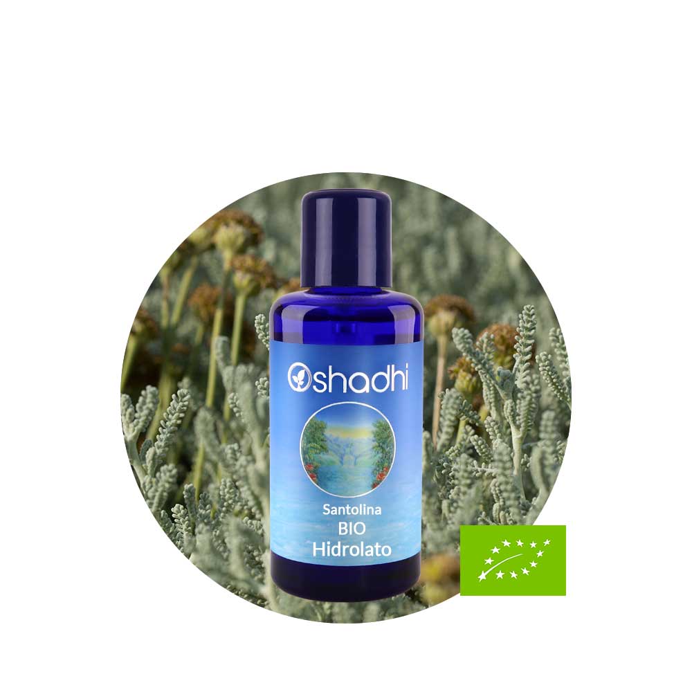Hidrolato de Santolina Hidrolato de Santolina