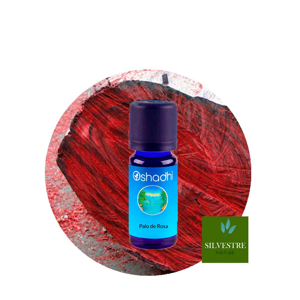 Aceite Esencial de Palo de Rosa Aceite Esencial de Palo de Rosa
