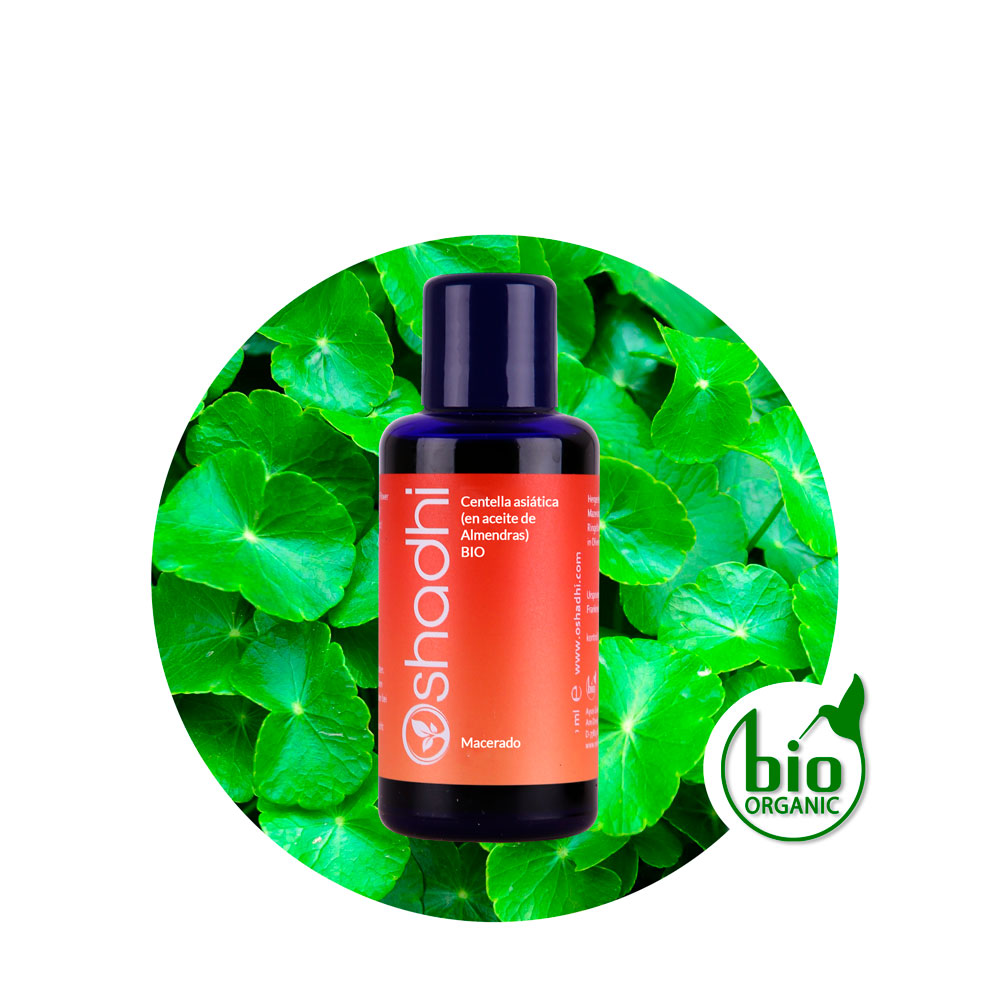 Centella-asiatica-en-Almendras---MAC Macerado de Centella Asiática en aceite de Almendras dulces - Imagen 1
