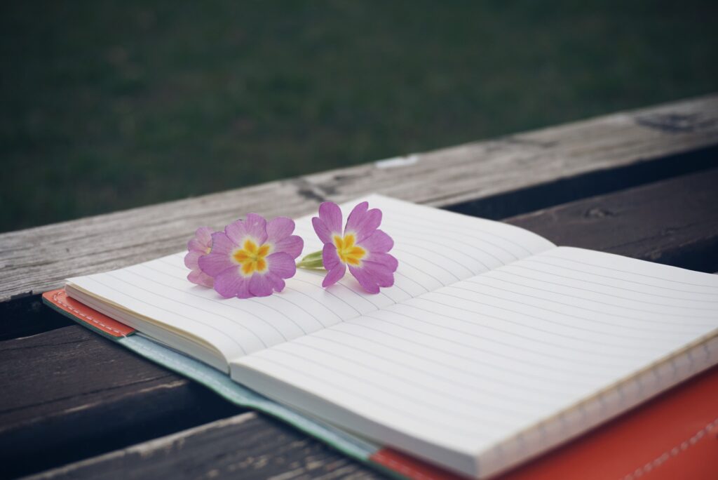 Cuaderno-naturaleza-1024x684