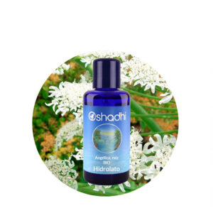 Hidrolato de raíz de Angélica