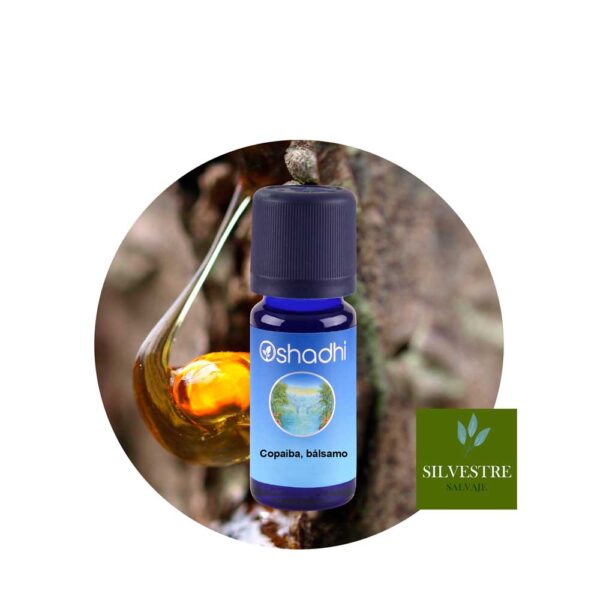 ae-copaiba-balsamo Aceite esencial de copaiba bálsamo